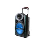 اسپیکر چمدانی قابل حمل GEEPAS GMS8567 SPEAKER